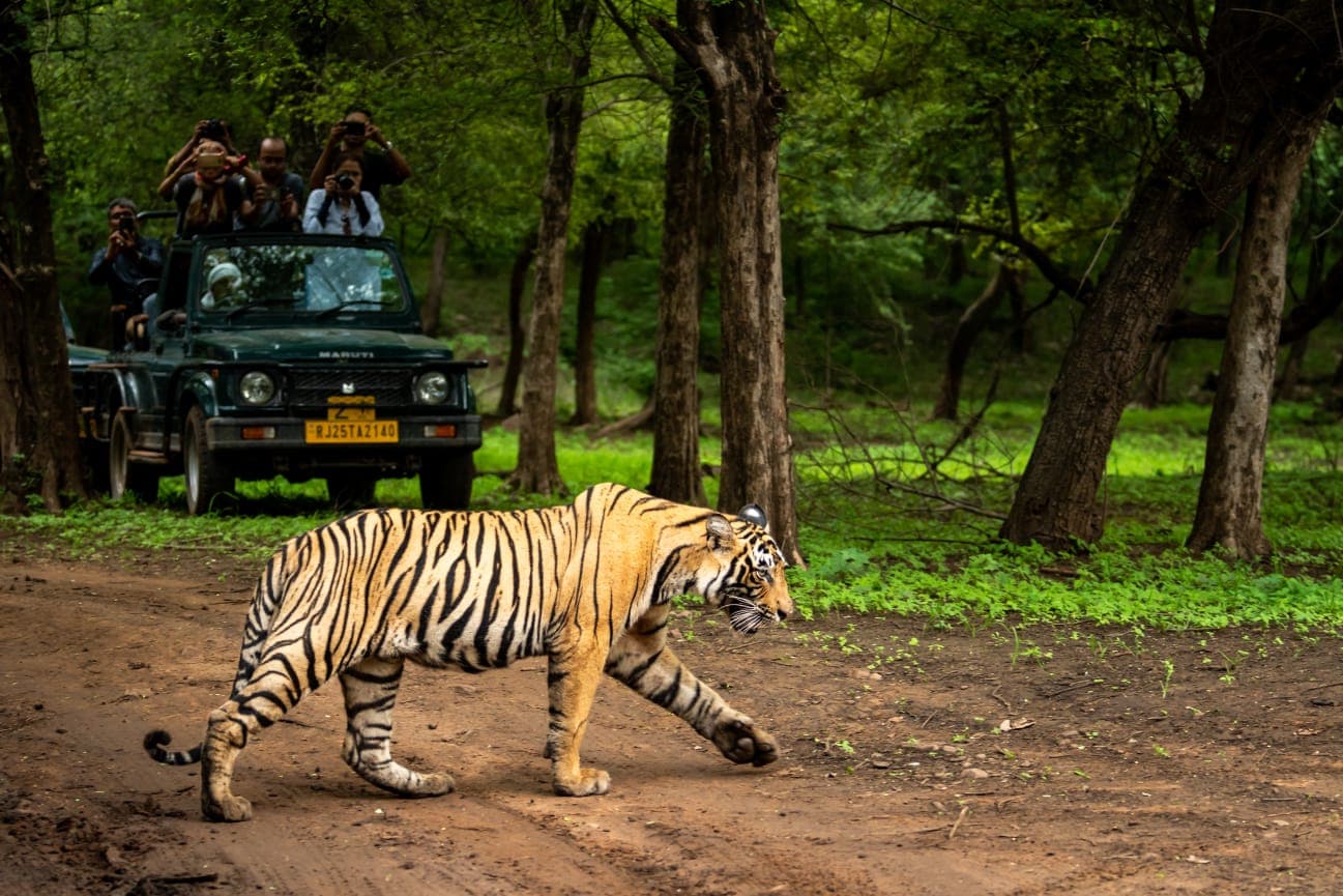 Corbett Long Weekend Luxury Tour Package