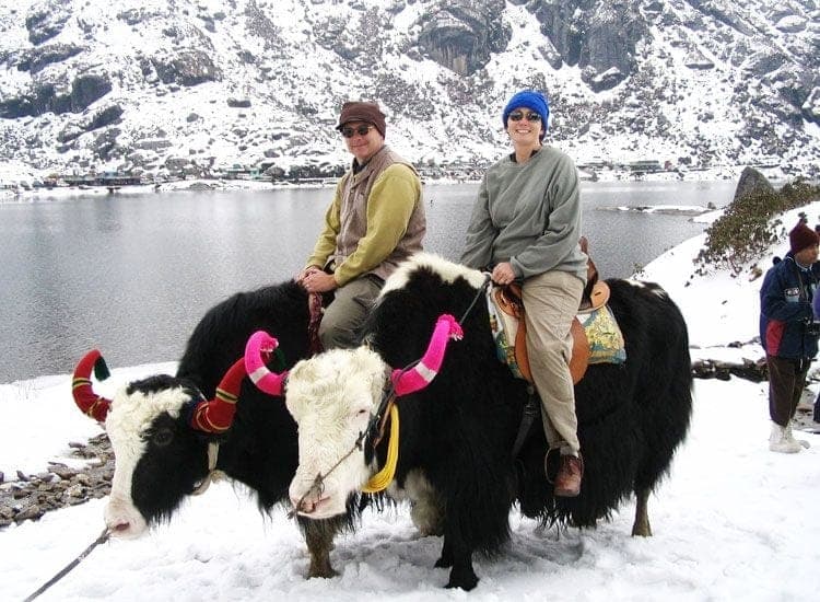 Shillong honeymoon packages